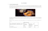 Informe Ingenieria de Materiales Titanio_tantalio_circonio