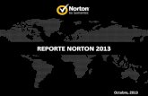 Reporte Norton 2013 Lam Es Mx