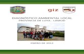 Diagnóstico Ambiental Local - Luya