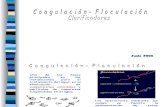 Teoría de Coagulacion-Floculación