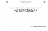 13 INTRODUCCION A LA AUTOMACION NEUMATICA - EL AIRE COMPRIMIDO.pdf