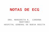 NOTAS DE ECG 1.pptx