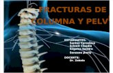 fracturas de la columna vertebras