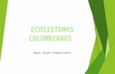 ECOSISTEMAS COLOMBIANOS
