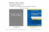Metodos de Analizar Celulas