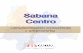 6235 Caracteriz Empresarial Sabana Centro