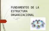 Capitulo 16 Fundamentos de La Estructura Organizacional_02