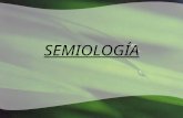 Presentacion Semiologia