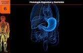 Fisiología Digestiva & Nutrición