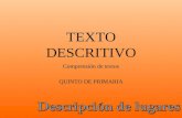 Texto Descriptivo - Comprensión de Textos