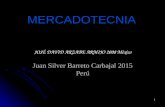Mercadotecnia Jose D. Arzabe - Silver Barreto 2015