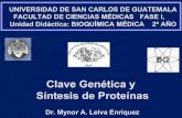 Clave-genetica y Sistesis de Proteinas