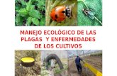 Manejo Ecologico de Plagas (Controles)