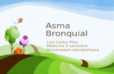 Presentacion de Asma Bronquial en Niños