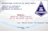 Presentación Modelos Conceptuales_Sra. María Elena