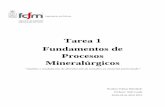 Tarea 1 de Fundamentos de Procesos Mineralúrgicos Fabian Rebolledo Espinoza