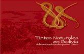 Tintes Naturales en Bolivia, Saberes Tradicionales Para El Futuro