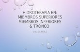 Hidroterapia MI,MS&TRONCO