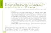 Interacciones Farmacologicas Hierbas Medicinales