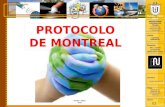Exposicion Protocolo de Montreal