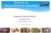 Recirculacion Acuicola Aquacria Eugenio Abr15 Cumana (Eugenio Garcia)