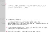 Facilitacion Neuromucular Propioceptiva (1)