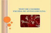 Test de Coombs - Prueba de Antiglobulina