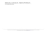 Biología Marina-corales 1