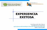 EXPERIENCIAS EXITOSAS.pdf