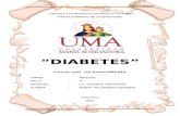 diabetes mellitus - 32 HJS UMA Maria Auxiliadora.docx
