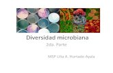 Diversidad Microbiana 2da Parte