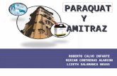 Intoxicación por Paraquat y Amitrax