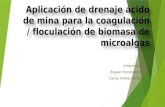 Exposición de drenaje de ácido de minas coagulación/floculación de biomasa de microalgas