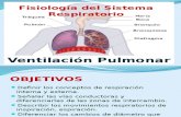 Fisiología Del Sistema Respiratorio. Mecánica Ventilatória, II Medicina
