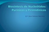 Bioquímicade Nucleótidos C-3