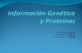 Ppt 3 Informacion Genetica