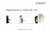 U04-Digitalización y Tráfico de La Voz