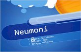 Present Ac i ó n Neumonia