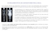 Densitometria y Radiologia Dental