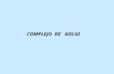 COMPLEJO DE GOLGI Becker,W.M. y col. 2000 COMPLEJO DE GOLGI.
