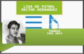 RELACIÓN DE CAMPEONES Y GOLEADORES POR CATEGORÍA Y TORNEOS 1991 2014 Subtítulo opcional aquí LIGA DE FUTBOL HECTOR HERNANDEZ.