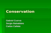 Conservation Gabriel Cuerva Sergio Balsalobre Carlos Cañete.