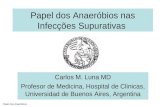 Papel dos Anaeróbios Carlos M. Luna MD Profesor de Medicina, Hospital de Clinicas, Universidad de Buenos Aires, Argentina Papel dos Anaeróbios nas Infecções.