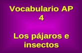 Vocabulario AP 4 Los pájaros e insectos. gaviota seagull.