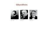 Glucólisis. Posibles destinos de la glucosa Fase preparatoria.
