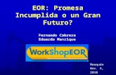 Fernando Cabrera Eduardo Manrique EOR: Promesa Incumplida o un Gran Futuro? Neuquén Nov. 5, 2010.