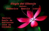 Elegía del Silencio, poema de Federico Garcia Lorca
