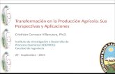 Transformación en la Producción Agrícola: Sus Perspectivas y Aplicaciones Cristhian Carrasco Villanueva, Ph.D. Instituto de Investigación y Desarrollo.