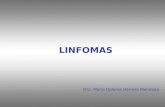LINFOMAS Dra. María Dolores Herrero Mendoza. FISIOLOGIA SISTEMA CELULAR LINFOIDE Cél. Germinal Cél germinal linfoide pluripotencial Cél germinal linfoide.