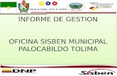 INFORME DE GESTION OFICINA SISBEN MUNICIPAL PALOCABILDO TOLIMA INFORME DE GESTION OFICINA SISBEN MUNICIPAL PALOCABILDO TOLIMA.